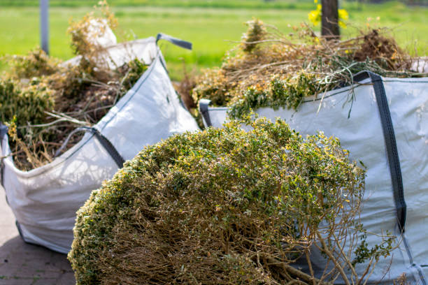 Best Office Junk Removal  in North Chicago, IL